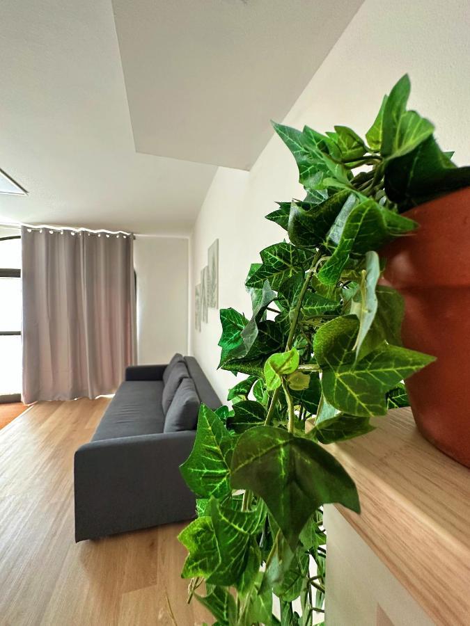 In Mezzo All'Aria Apartment Mezzolara 外观 照片